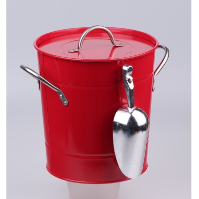 Iron Ice Bucket with Lid and Ladle Scoop and Carry Handles for Parties